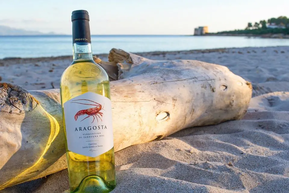 Il Vermentino Aragosta