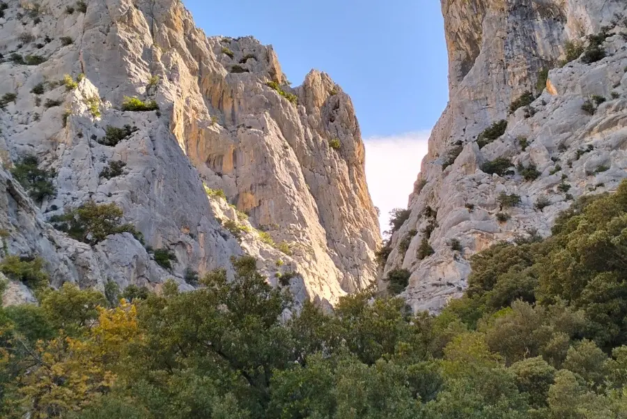 S’Istrada Manna di Baunei (Foto Sergio Loi)