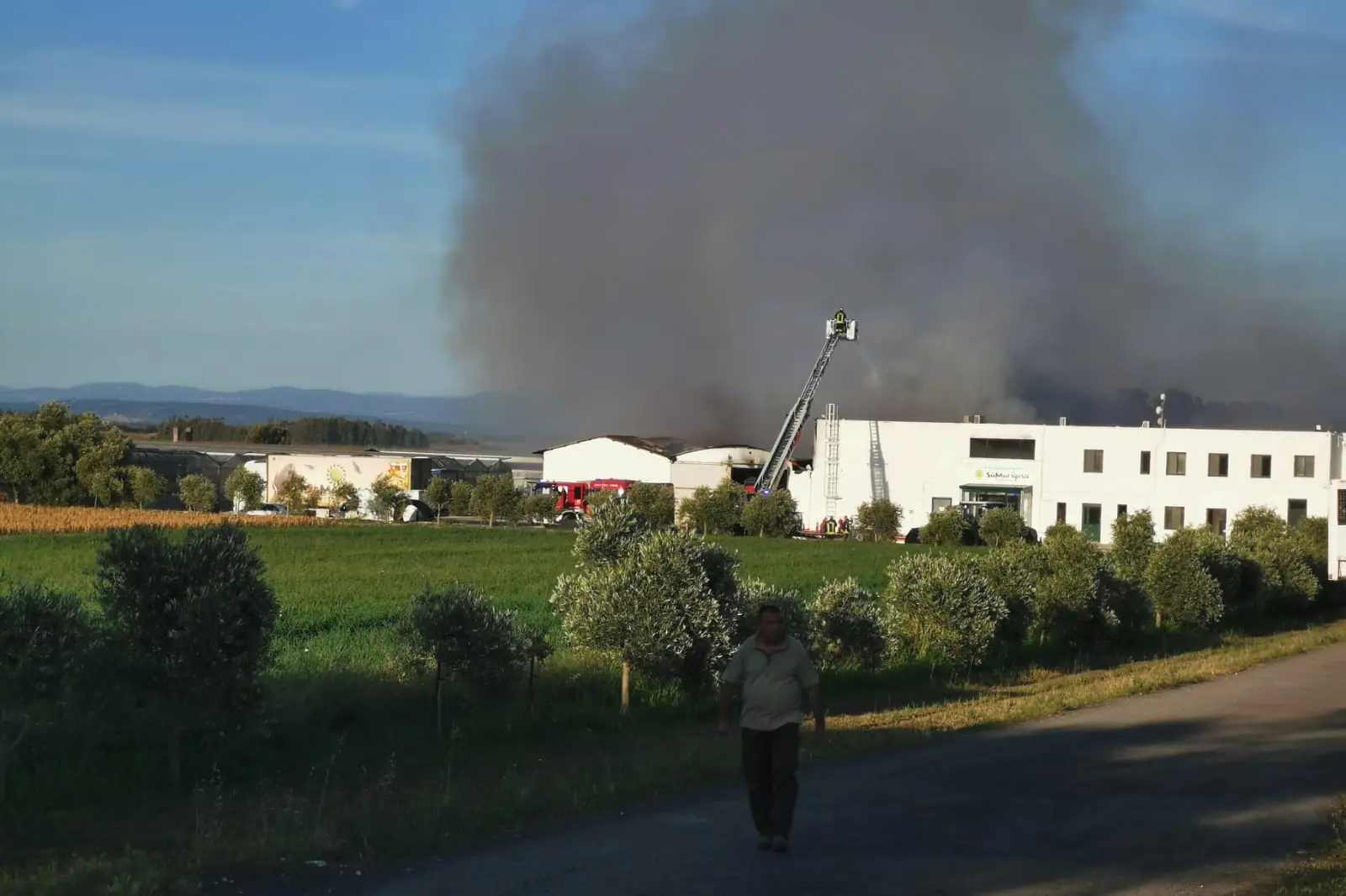 Il fumo nella zona dell'incendio (foto Pinna)