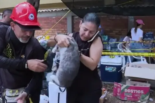 Sisma Colombia, dichiarata "l'emergenza economica". Si scava ancora
