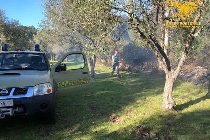 Incendio a Montiferru, indagini in corso e danni limitati