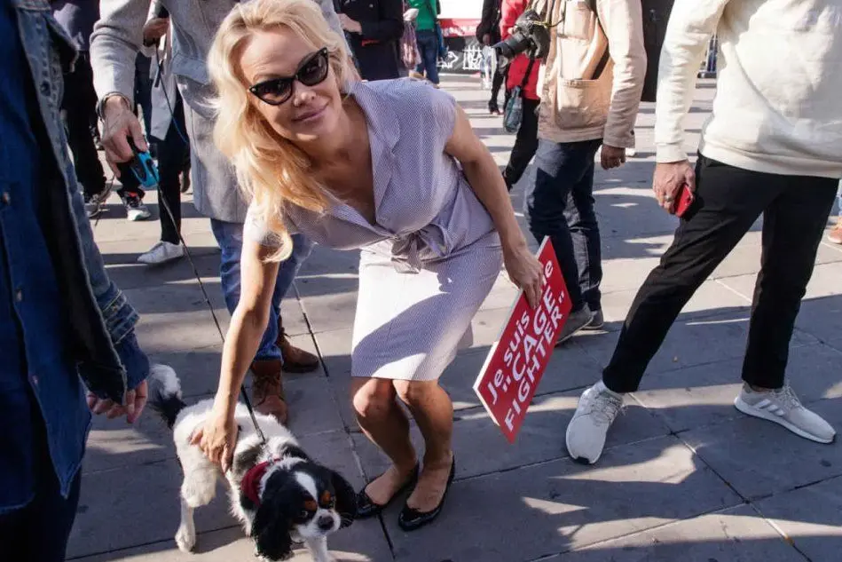 Pamela Anderson, che da tempo si batte anche per i diritti degli animali (Ansa)