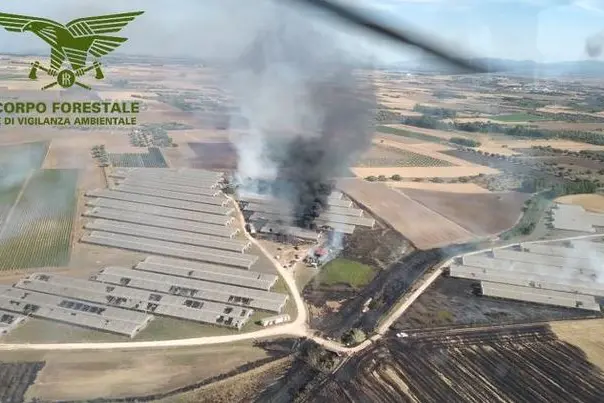 L'incendio di San Sperate (foto Corpo forestale)