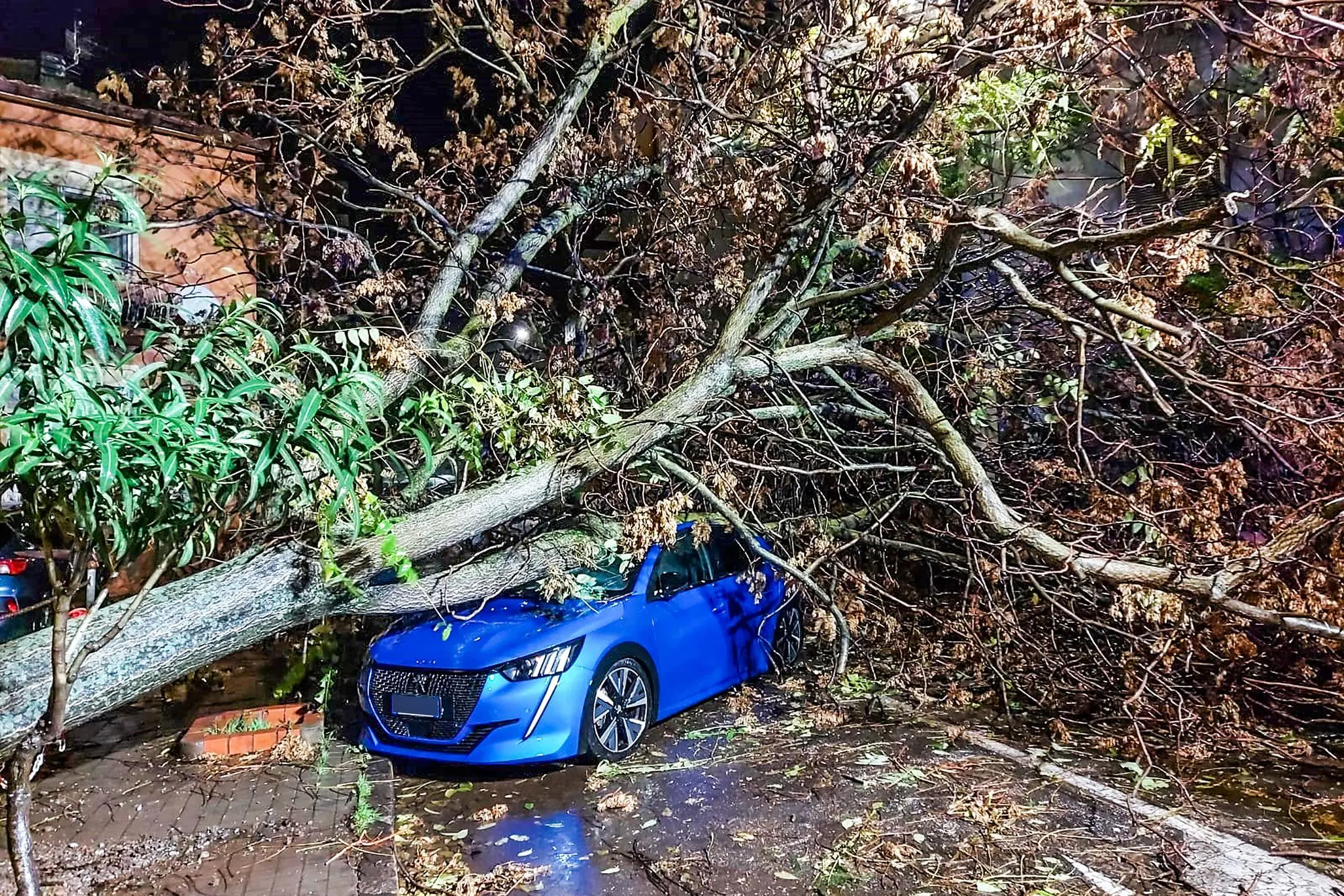 Un albero crollato su un'auto (L'Unione Sarda)