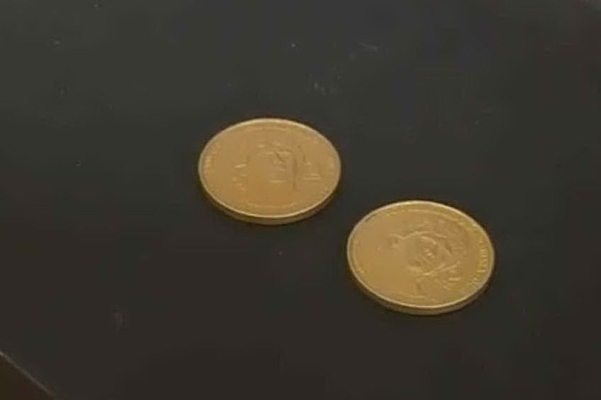 La moneta da due ducati (foto da frame video @telemolise)