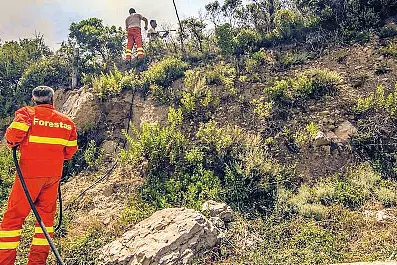 Dipendenti Forestas al lavoro