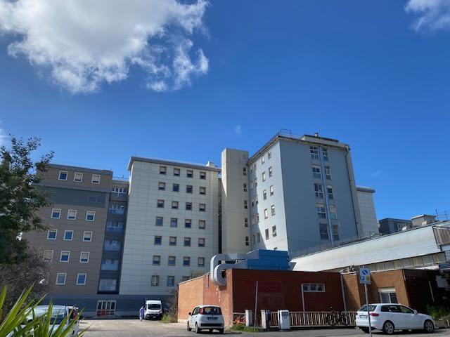 Oristano festeggia il suo patrono: chiusi al pubblico gli uffici amministrativi, tecnici e professionali della Asl