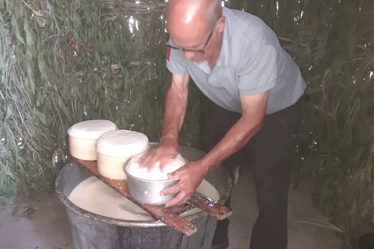 La trasformazione del latte in formaggio oggi a Burcei
