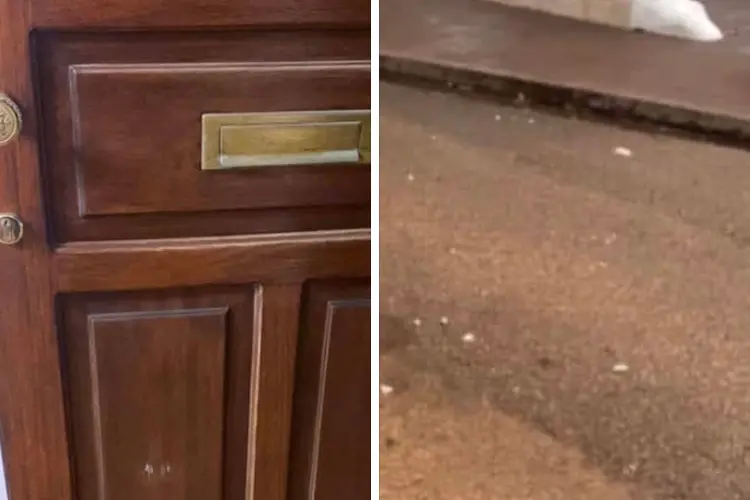 Il portone danneggiato e le pietre nella via Azuni (foto Pala)