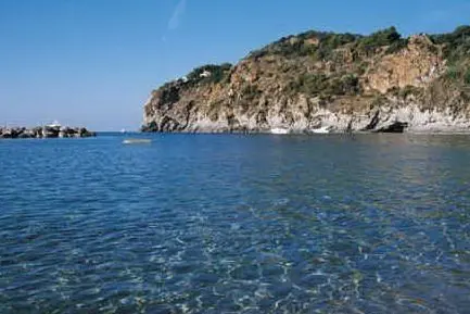 Ischia