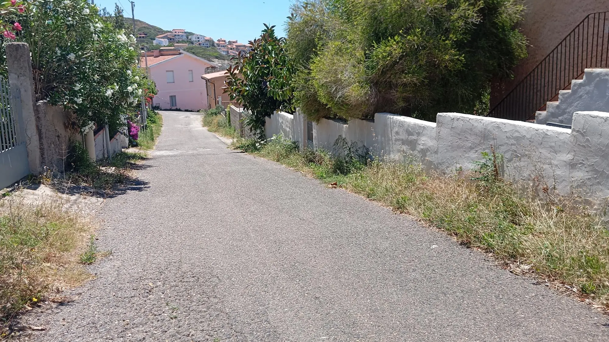 https://immagini.unionesarda.it/version/c:MGQ4ZjUwOGQtOTVmOS00:MmE4YmE1YjYtYjcxMi00/image.webp?f=16:9