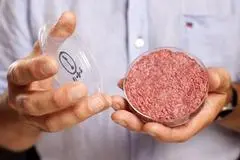 Una foto simbolo di carne coltivata in laboratorio (archivio us)