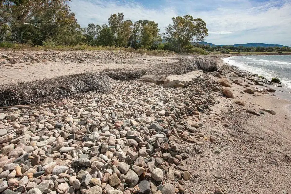 La spiaggia invasa dalle pietre (L'Unione Sarda - Daga)