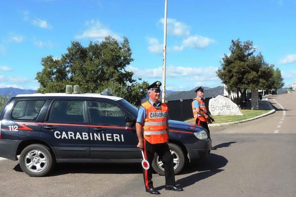 Furto di arnie a Baunei, indagano i carabinieri