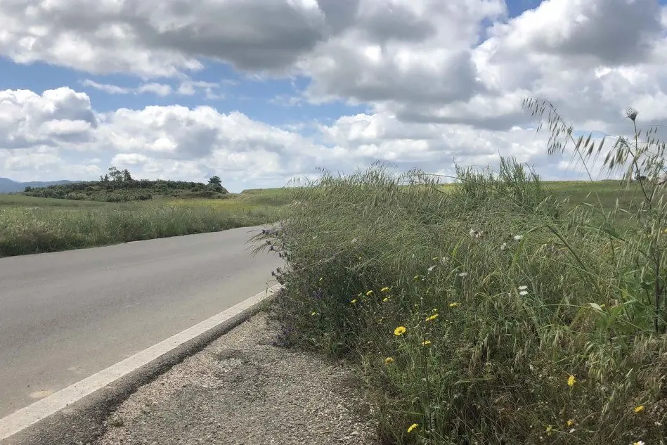 La strada tra Ortacesus e Guamaggiore