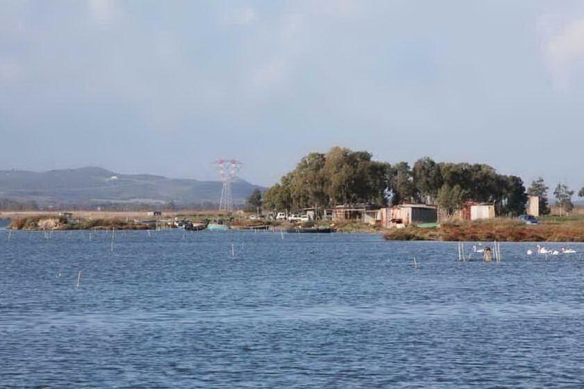 La laguna di Santa Gilla (archivio L'Unione Sarda)