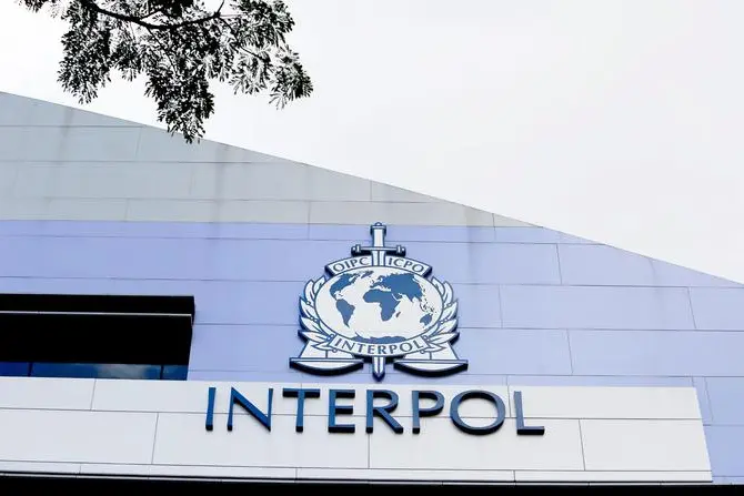 Interpol (foto Ansa)