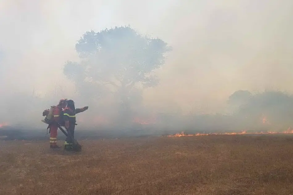 Le fiamme (foto Corpo forestale)