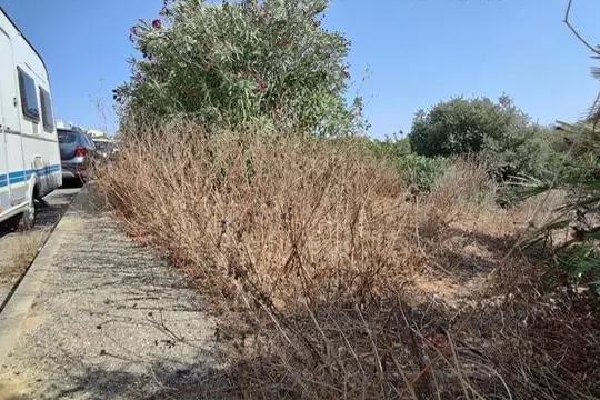 L'erba alta (Foto concessa)
