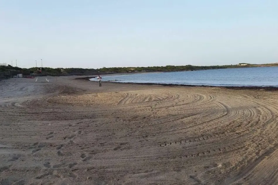 I lavori di pulizia alla Spiaggiagrande di Calasetta
