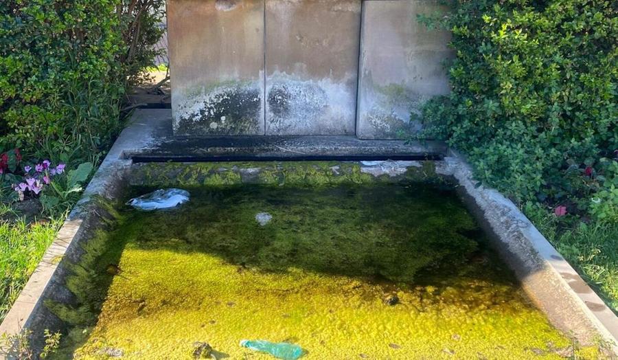 Fontana spenta,  ristagni nella vasca e allarme zanzare