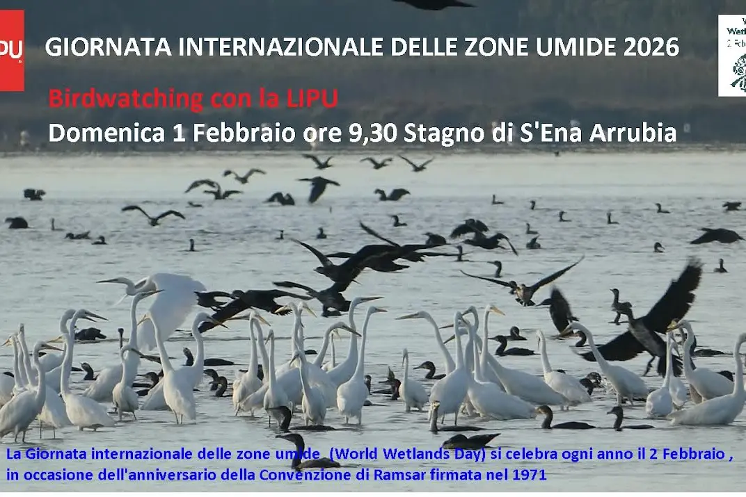 L'evento (Foto concessa)