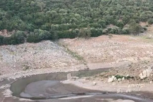 È ancora allarme siccità (foto Ansa)