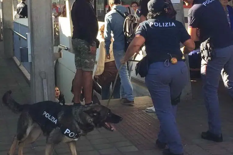 Odry, il cane poliziotto andato in pensione (L'Unione Sarda - Sanna)