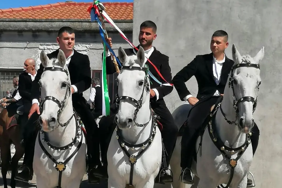 La pariglia che ha guidato la corsa (Foto concessa)