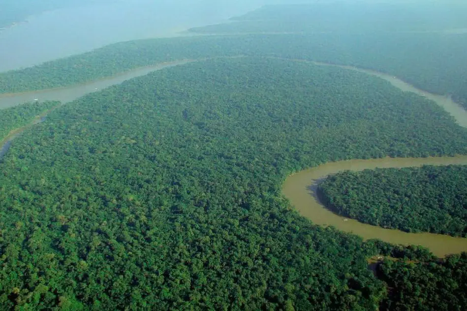 Amazzonia (foto da wikimedia)
