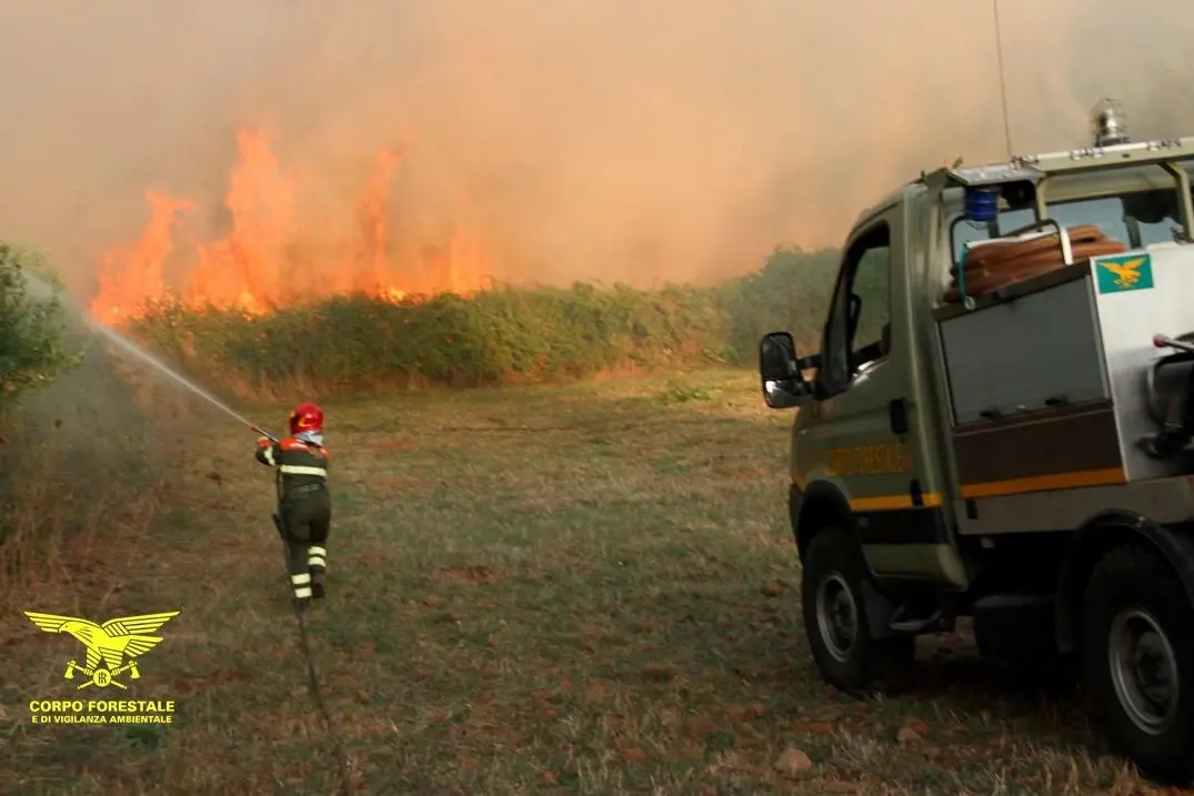 I vigili del fuoco impegnati nello spegnimento di un incendio
