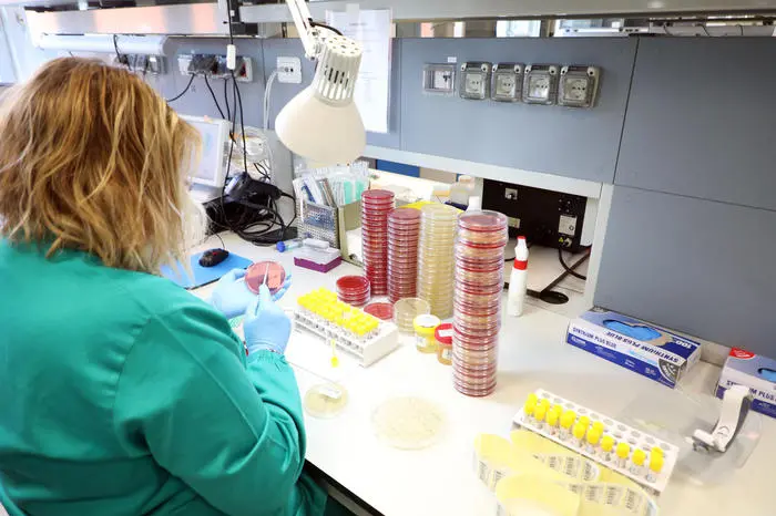 Un laboratorio (Ansa)