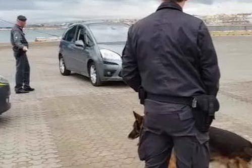 Sbarca con 15 kg di cocaina: maxi-sequestro a Porto Torres VIDEO
