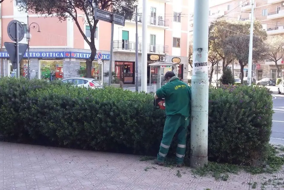La potatura delle siepi in via Marconi