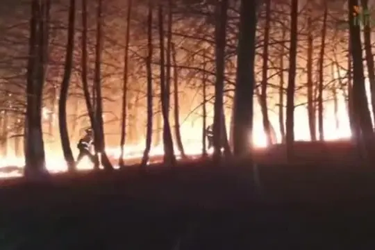 Spagna, incendio da 3.400 ettari divora boschi a nord-est di Madrid