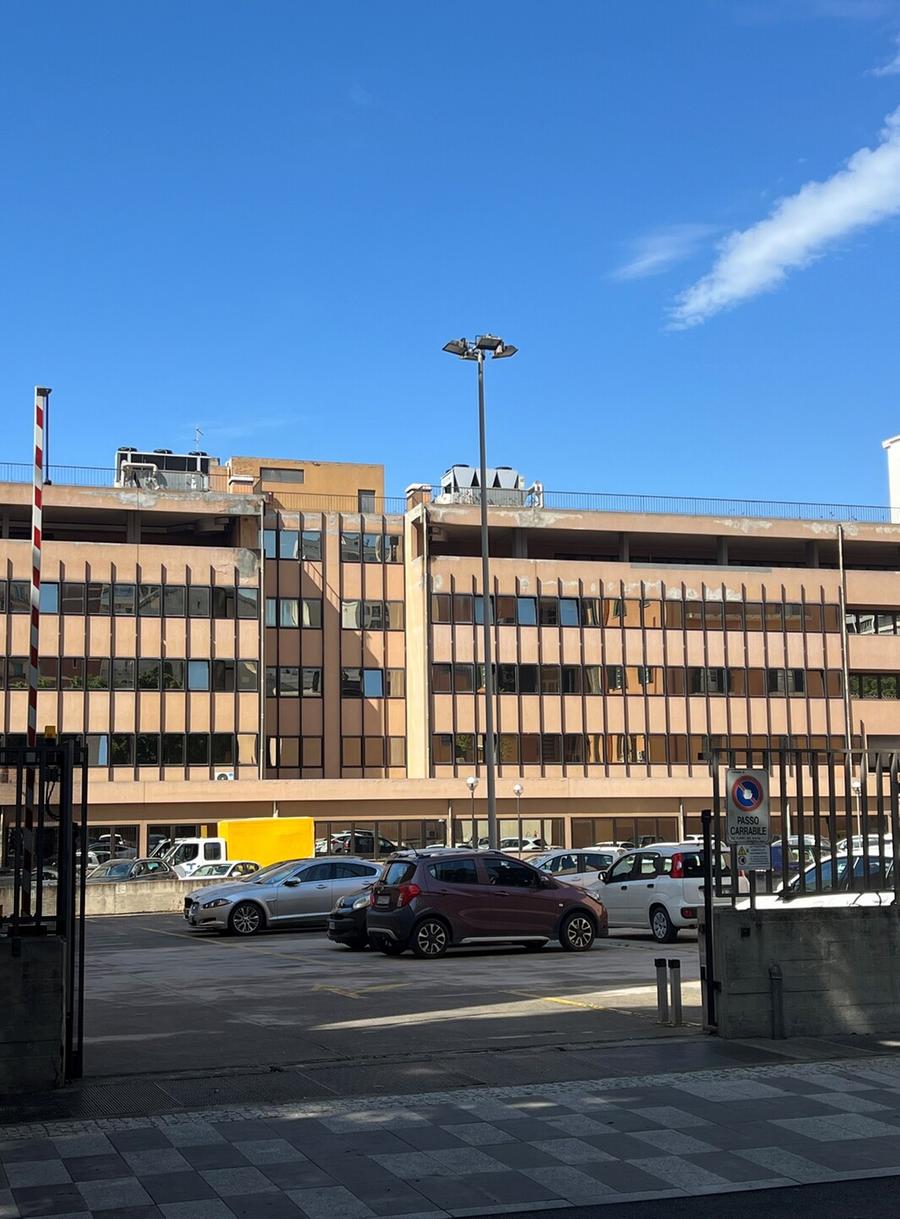 FdI: «Schael sta per lasciare». La presidenza: «È al lavoro»