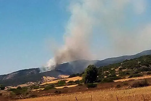 L'incendio nelle campagne di Masullas