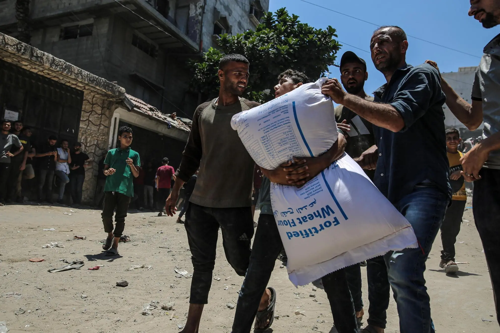 Distribuzione di aiuti nella Striscia di Gaza (Ansa-Epa)