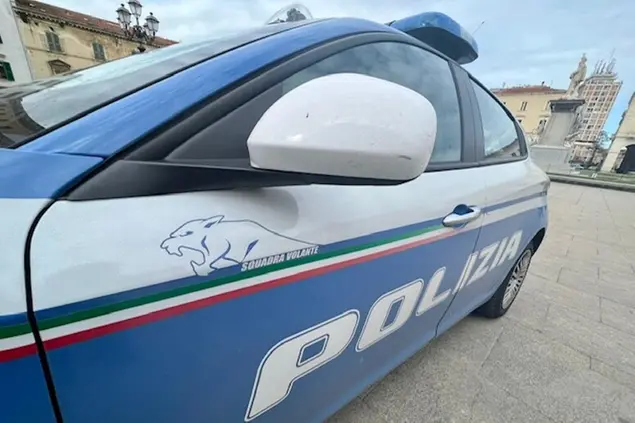 Polizia (Ansa)