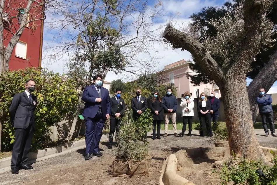 Nel parco dell'Autonomia di Villa Devoto, a Cagliari, l'ulivo in memoria delle vittime del Covid
