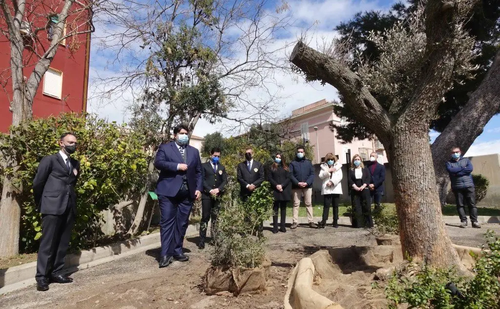 Nel parco dell'Autonomia di Villa Devoto, a Cagliari, l'ulivo in memoria delle vittime del Covid