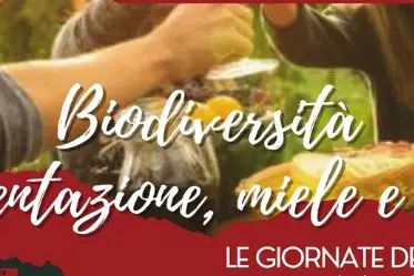 La locandina dell'evento