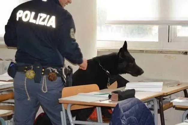 I cani antidroga in classe