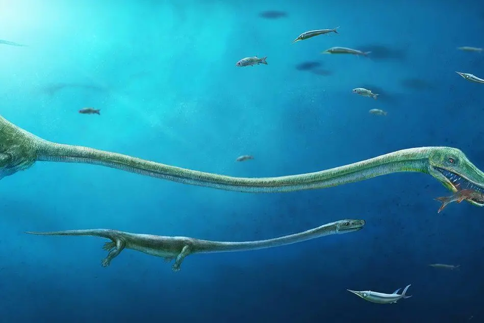 Il dinocephalosaurus