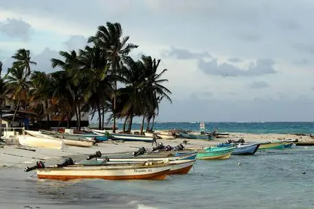 Caraibi (foto Ansa)