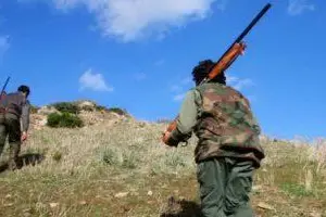 caccia al cinghiale in gallura