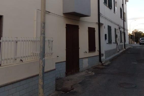 Gattino di pochi mesi trovato ucciso a Calasetta: “Sbattuto ripetutamente per terra e contro un muro”