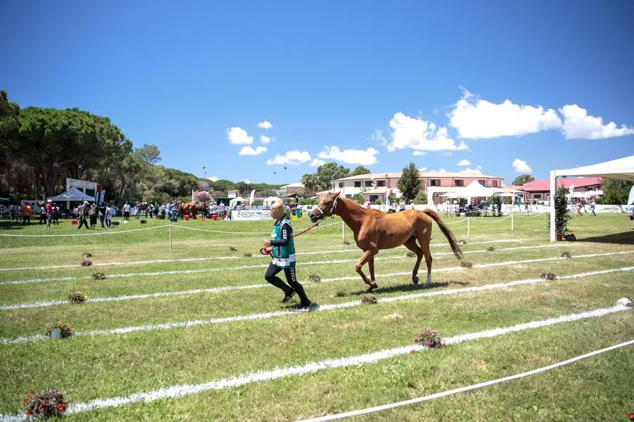 Le ultime gare di Endurance ad Arborea (foto Horse Country)