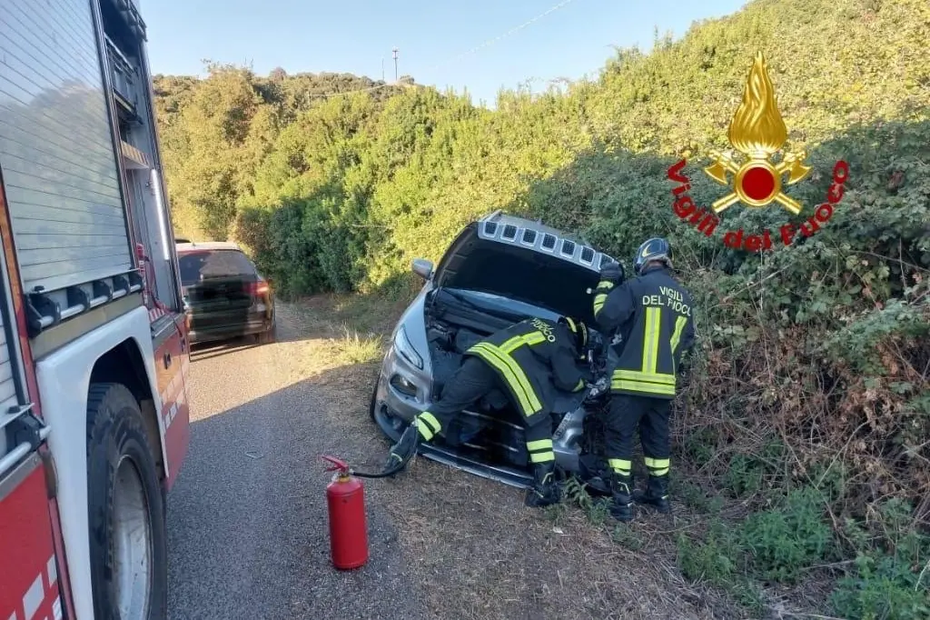 事故中涉及的车辆