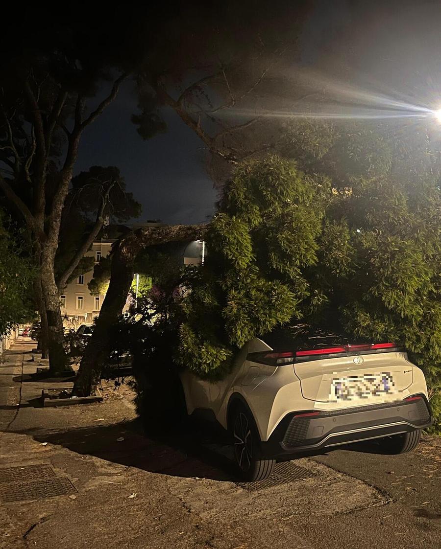 Viale Sant’Ignazio, si spezza un altro pino: auto danneggiata